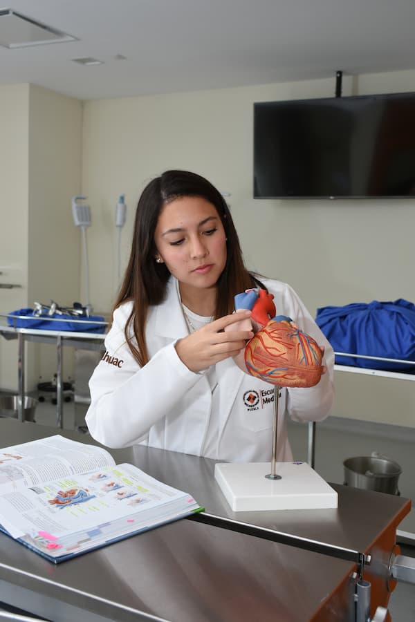Licenciaturas Anáhuac Puebla Médico Cirujano